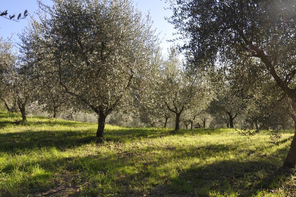 מונטאיונה Podere Le Monache מראה חיצוני תמונה
